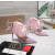 Christian Louboutin Pastel Pink Satin Checkerboard Crystal Tulle Ruffle 100mm Stiletto Heel Pumps