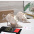 Christian Louboutin Ivory Satin Checkerboard Crystal Tulle Ruffle 100mm Stiletto Heel Pumps