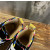 Christian Louboutin Multicolor Crystal Spike‑Decorated Glitter High‑Top Sneakers