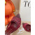 Christian Louboutin Burgundy Mesh Crystal‑Embellished 100mm Peep‑Toe Stiletto Heel Mules