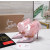 Christian Louboutin Pastel Pink Satin Checkerboard Crystal Tulle Ruffle 100mm Stiletto Heel Pumps