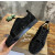 Christian Louboutin Black Suede Crystal‑Embellished Low‑Top Men’s Sneakers
