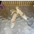 Christian Louboutin Cream Satin Crystal‑Embellished Ankle‑Tie Slingback Ballet Flats