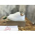 Christian Louboutin White Perforated White‑Spiked Low‑Top Sneakers