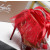 Christian Louboutin Red Satin Checkerboard Crystal Tulle Ruffle 100mm Stiletto Heel Pumps
